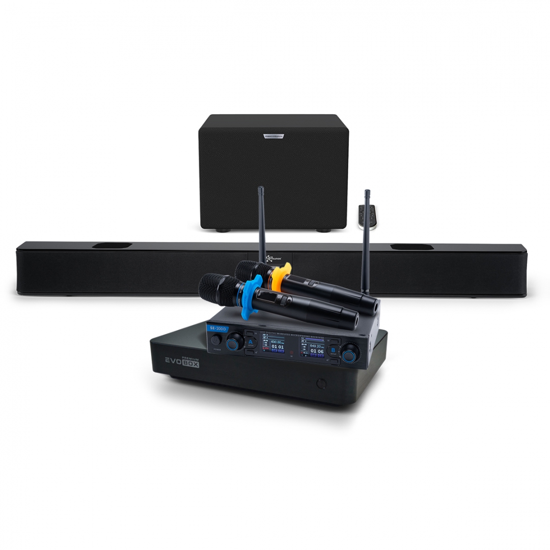Hi-End караоке-система EVOBOX Premium + EvoSoundBar (саундбар с караоке) в Верхней Пышме