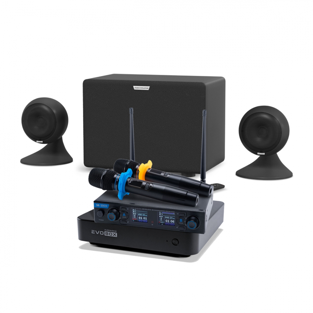караоке-комплект EVOBOX + EvoSound Sphere 2.1 в Верхней Пышме
