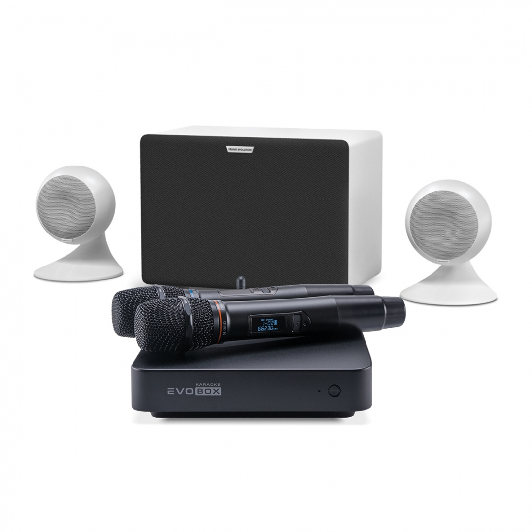 караоке-комплект EVOBOX Classic + EvoSound Sphere 2.1 в Верхней Пышме
