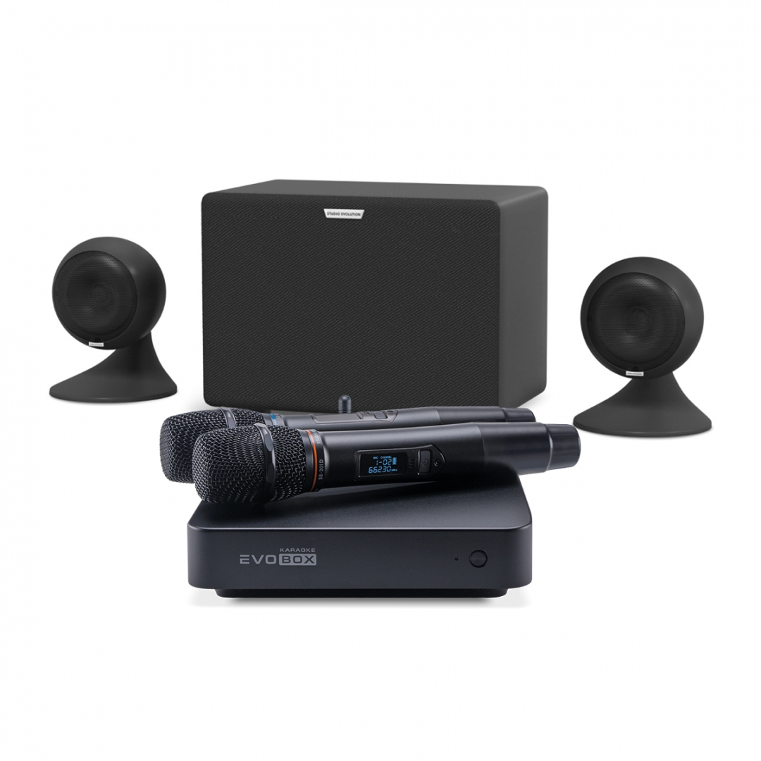 караоке-комплект EVOBOX Plus + EvoSound Sphere 2.1 в Верхней Пышме
