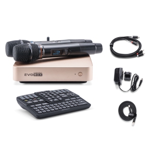 EVOBOX Classic караоке-система для дома в Верхней Пышме