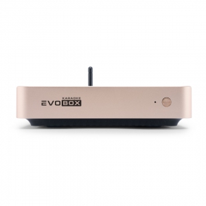 EVOBOX Plus караоке-система для дома в Верхней Пышме